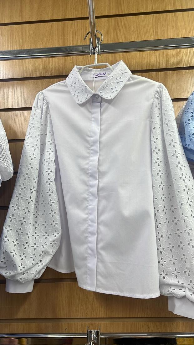 Elegant Lace Sleeve Blouse