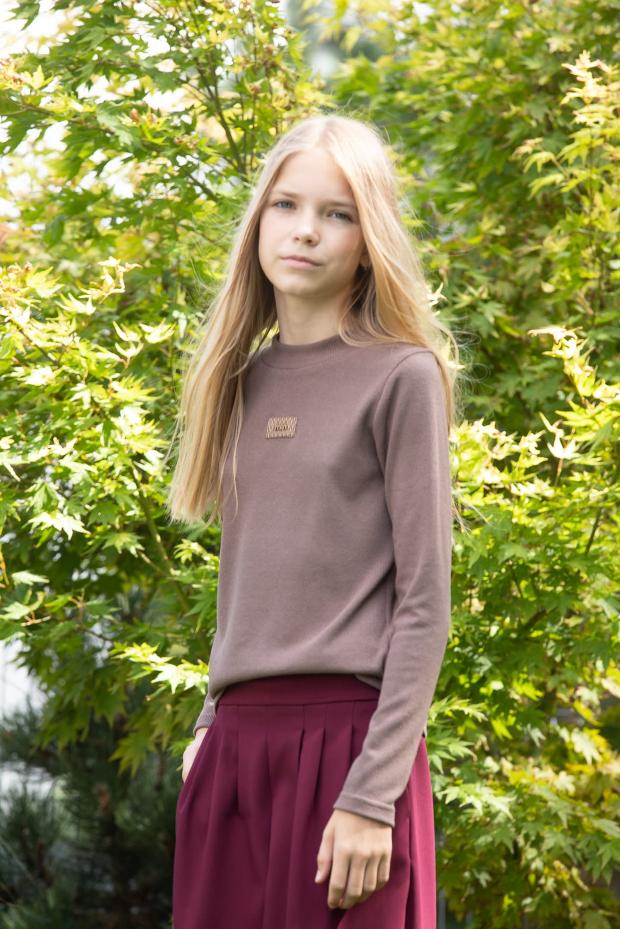 Elegant Brown Long Sleeve Top